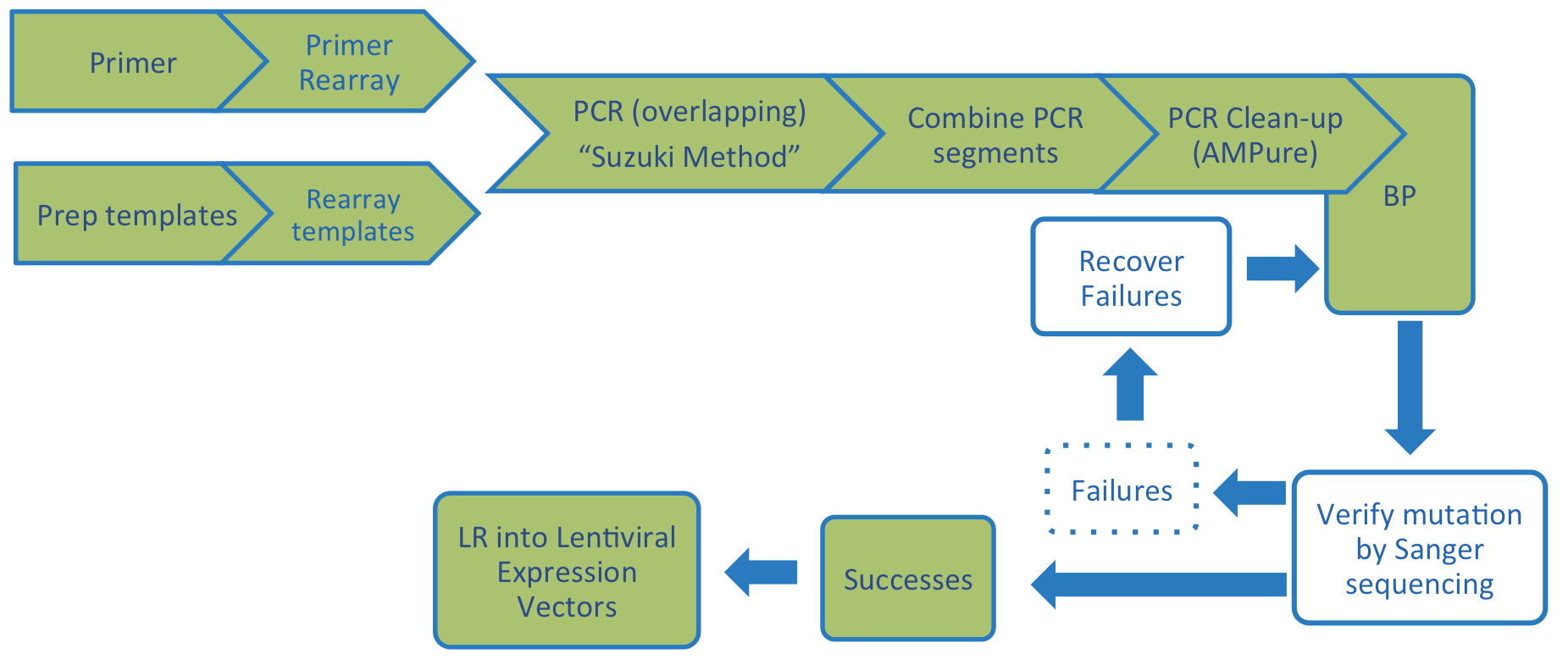  Process starts with the primers, which are rearrayed, and prep templates, which are also rearrayed. These are used in overlapping PCRs, or the "Suzuki Method." PCR segments are combined and cleaned up using AMPure and cloned using BP cloning. Mutations are verified by Sanger sequencing. Successful clones are cloned into lentiviral expression vectors using LR reactions. If clones are failures, failures are recovered and BP cloning attempted again..