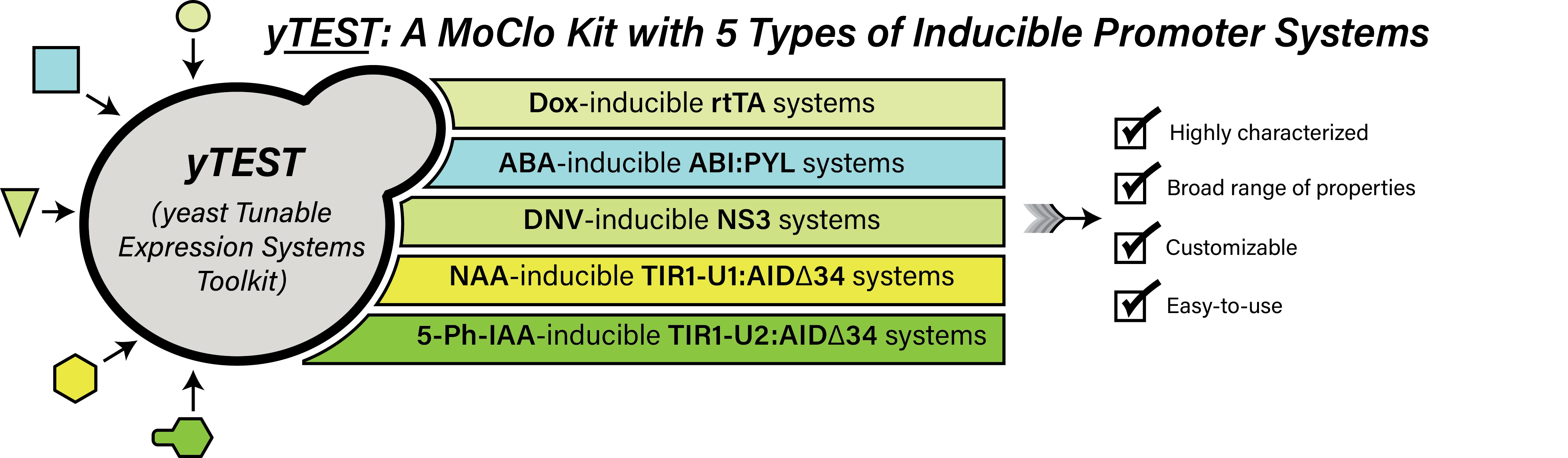 Schematic showing the five types of inducible promoter systems in the yTEST plasmid kits: Dox-inducible rtTA systems; ABA-inducible ABI:PYL systems; DNV-inducible NS3 systems; NAA-inducible TIR1-U1: AID delta 34 systems; and 5-Ph-IAA-inducible TIR1-U2: AID delta 34 systems. A checklist of system advantages includes being highly characterized, having a broad range of properties, being customizable, and being easy to use.