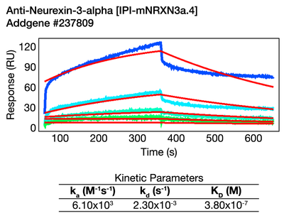 Surface Plasmon Resonance (SPR) image by 