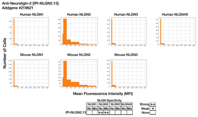 Immunocytochemistry image by Institute for Protein Innovation (IPI)