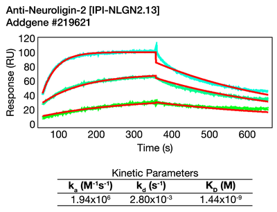 Surface Plasmon Resonance (SPR) image by 