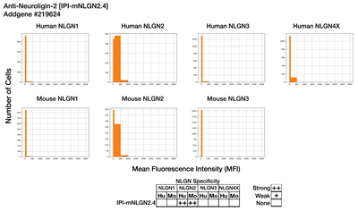 Immunocytochemistry image by Institute for Protein Innovation (IPI)