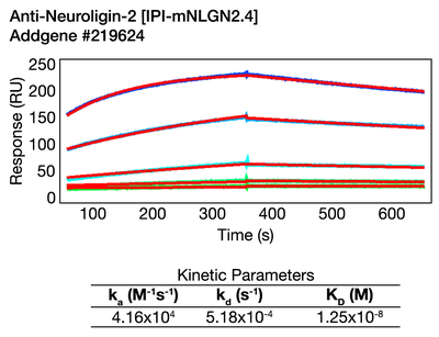Surface Plasmon Resonance (SPR) image by 