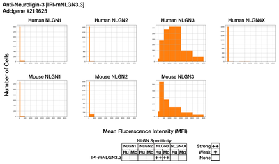 Immunocytochemistry image by Institute for Protein Innovation (IPI)