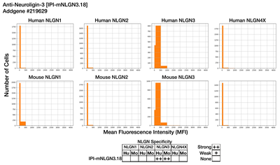 Immunocytochemistry image by Institute for Protein Innovation (IPI)