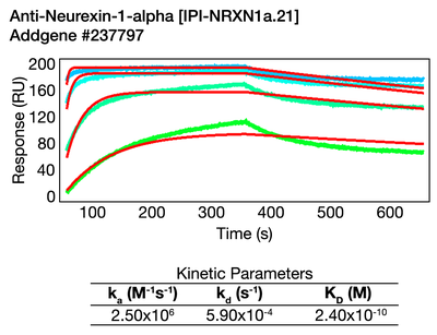 Surface Plasmon Resonance (SPR) image by 