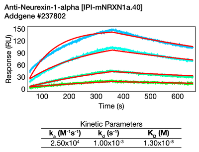 Surface Plasmon Resonance (SPR) image by 