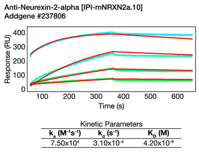 Surface Plasmon Resonance (SPR) image by 