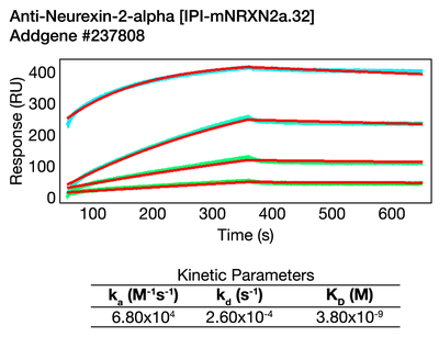 Surface Plasmon Resonance (SPR) image by 