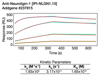 Surface Plasmon Resonance (SPR) image by 