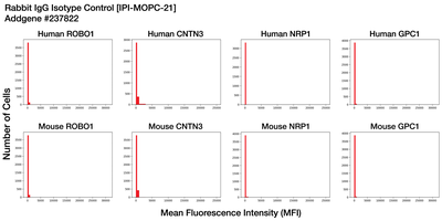Immunocytochemistry image by Institute for Protein Innovation (IPI)