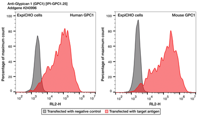 Flow Cytometry image by Institute for Protein Innovation (IPI)