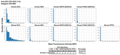 Immunocytochemistry image by Institute for Protein Innovation (IPI)