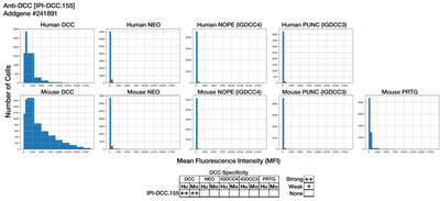 Immunocytochemistry image by Institute for Protein Innovation (IPI)