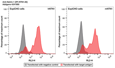 Flow Cytometry image by Institute for Protein Innovation (IPI)