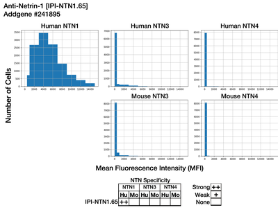 Immunocytochemistry image by Institute for Protein Innovation (IPI)