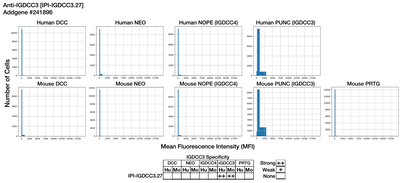 Immunocytochemistry image by Institute for Protein Innovation (IPI)