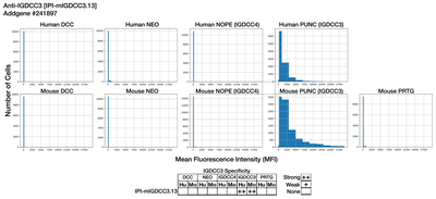 Immunocytochemistry image by Institute for Protein Innovation (IPI)