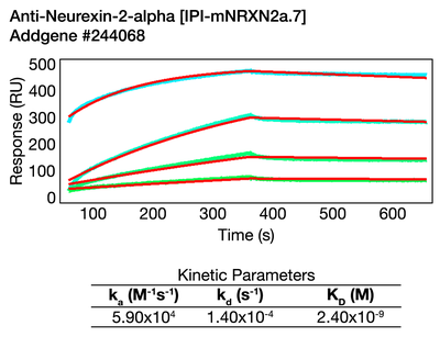 Surface Plasmon Resonance (SPR) image by 