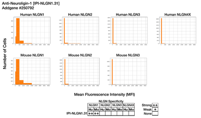 Immunocytochemistry image by Institute for Protein Innovation (IPI)