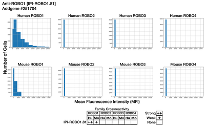 Immunocytochemistry image by Institute for Protein Innovation (IPI)