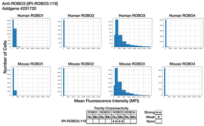 Immunocytochemistry image by Institute for Protein Innovation (IPI)