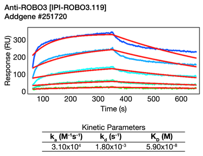 Surface Plasmon Resonance (SPR) image by Institute for Protein Innovation (IPI)