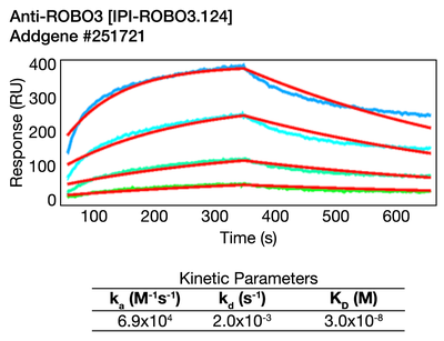 Surface Plasmon Resonance (SPR) image by Institute for Protein Innovation (IPI)
