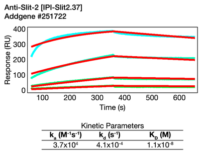 Surface Plasmon Resonance (SPR) image by Institute for Protein Innovation (IPI)