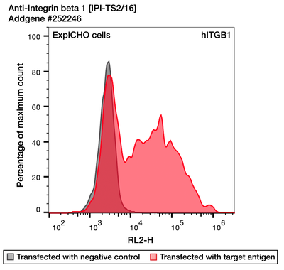 Flow Cytometry image by Institute for Protein Innovation (IPI)