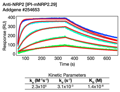 Surface Plasmon Resonance (SPR) image by Institute for Protein Innovation (IPI)