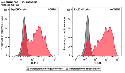 Flow Cytometry image by Institute for Protein Innovation (IPI)