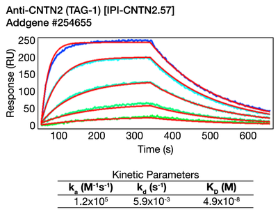 Surface Plasmon Resonance (SPR) image by Institute for Protein Innovation (IPI)