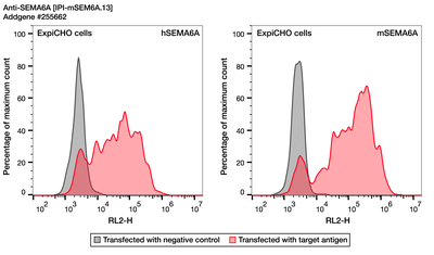 Flow Cytometry image by Institute for Protein Innovation (IPI)