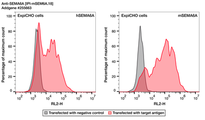 Flow Cytometry image by Institute for Protein Innovation (IPI)