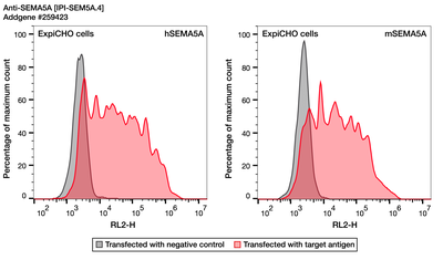 Flow Cytometry image by Institute for Protein Innovation (IPI)