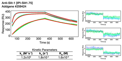 Surface Plasmon Resonance (SPR) image by Institute for Protein Innovation (IPI)