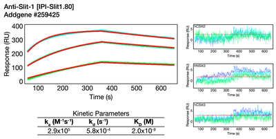 Surface Plasmon Resonance (SPR) image by Institute for Protein Innovation (IPI)
