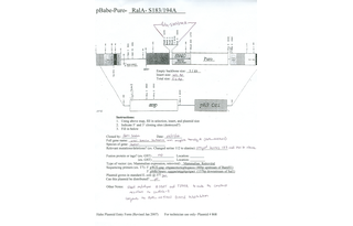 Author Map