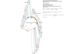 Author Map