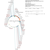 Author Map thumbnail