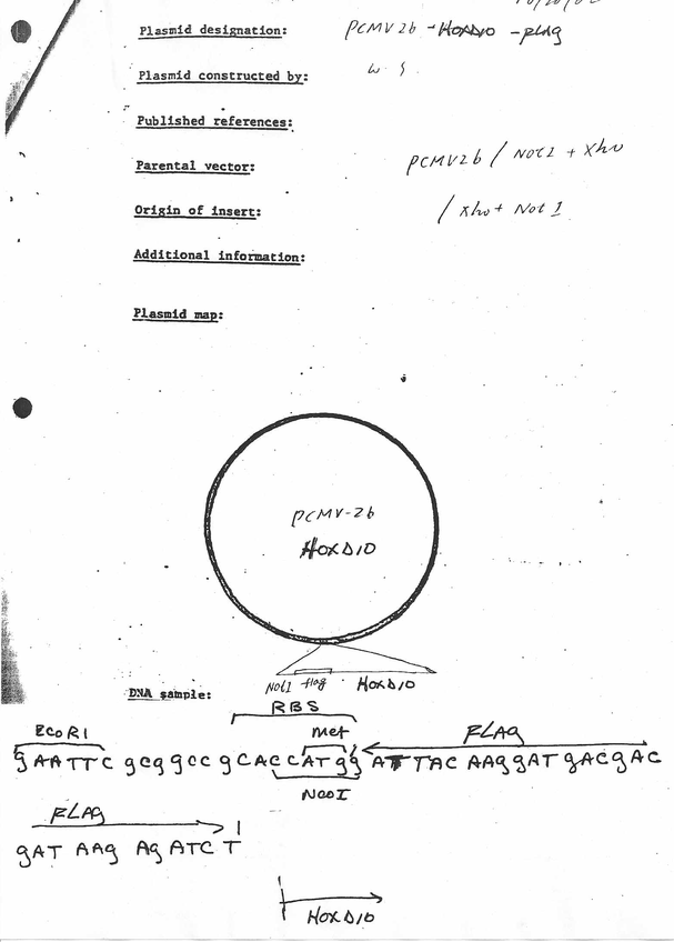 Author Map