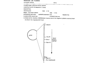 Author Map