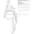 Author Map thumbnail