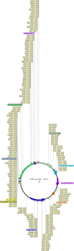 Author Map