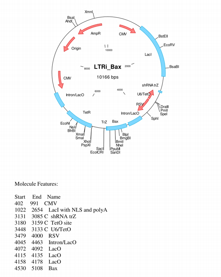 Author Map