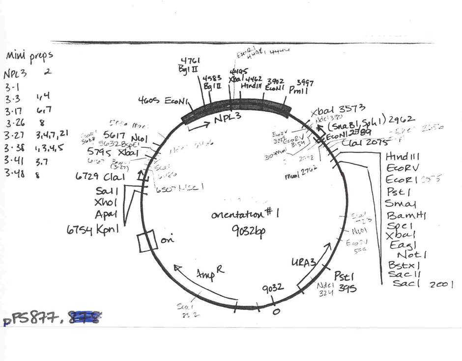 Author Map