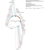 Author Map thumbnail