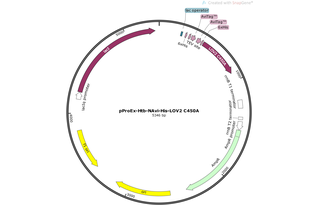 Author Map