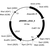 Author Map thumbnail